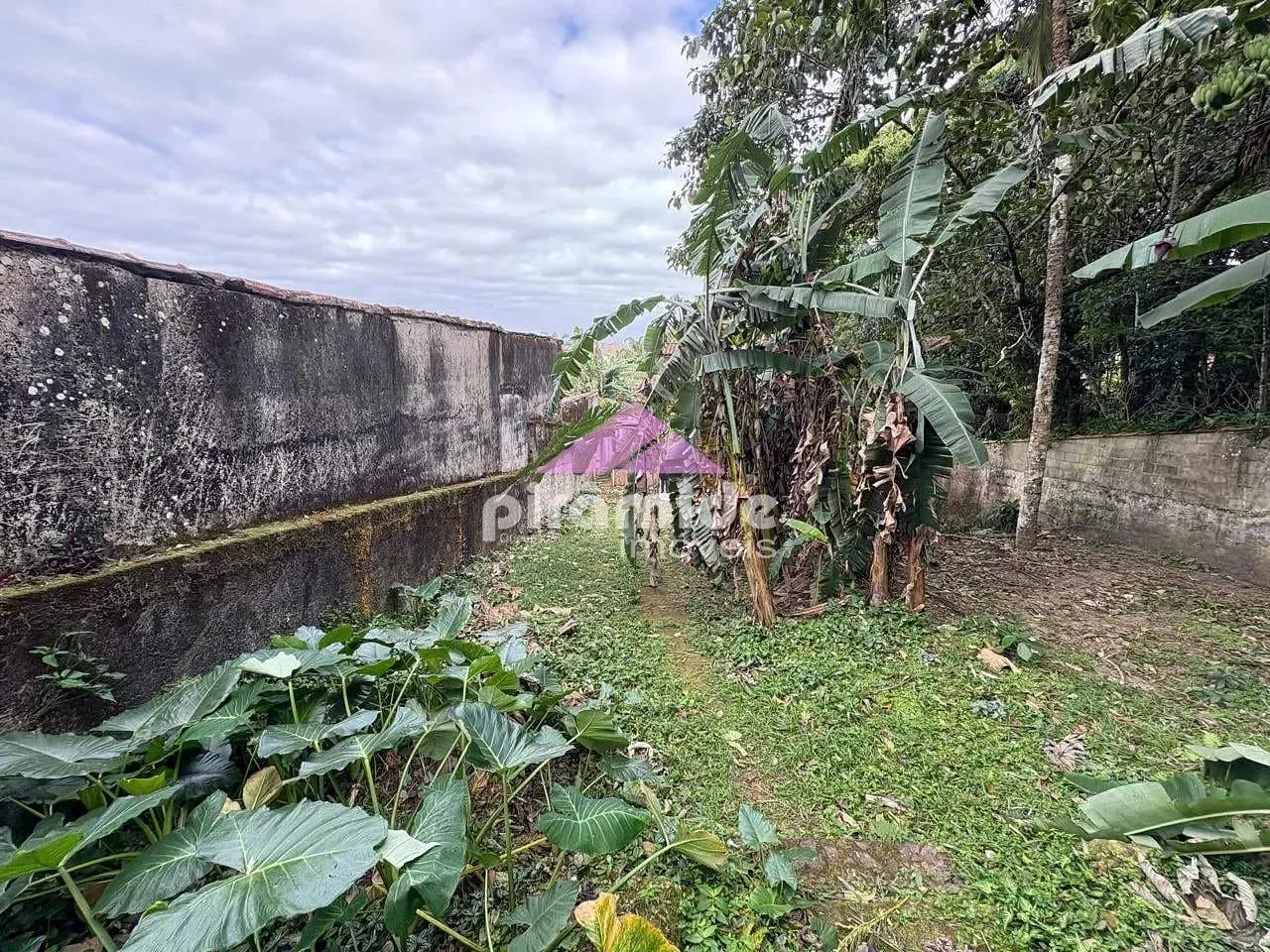Casa, 4 quartos, 300 m² - Foto 17