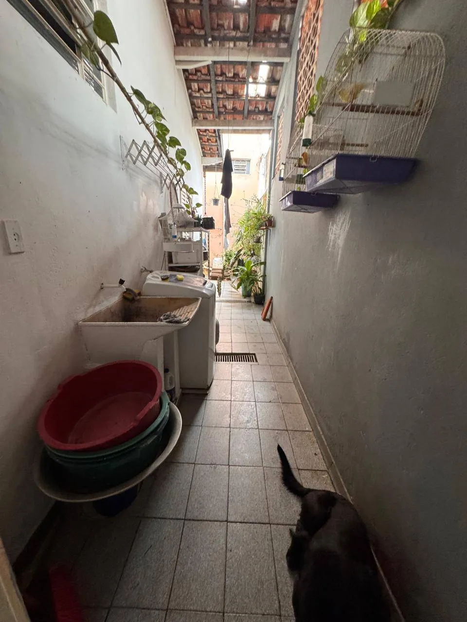 Casa, 3 quartos, 250 m² - Foto 9