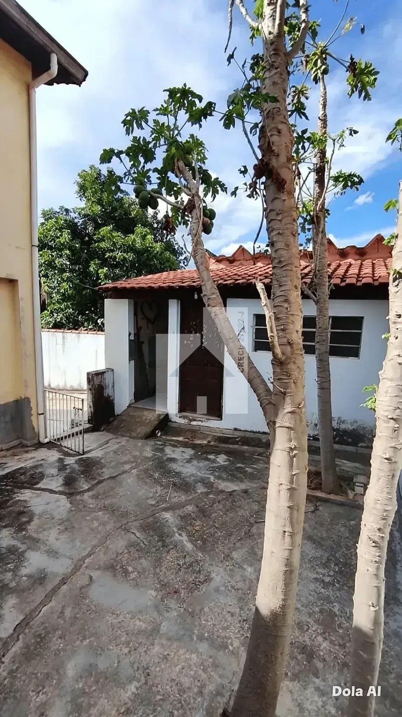 Foto 12