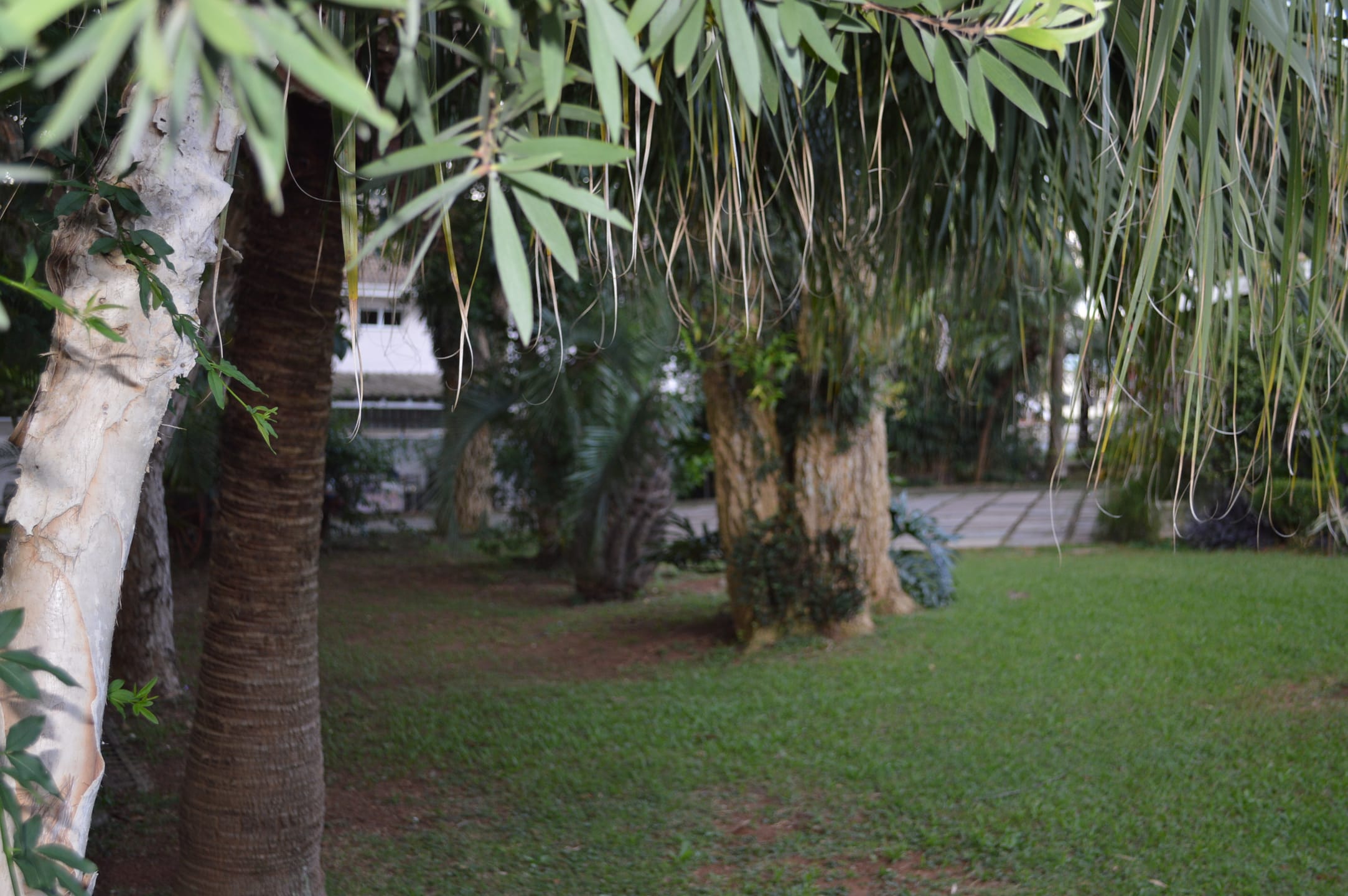 Casa, 4 quartos, 487 m² - Foto 4