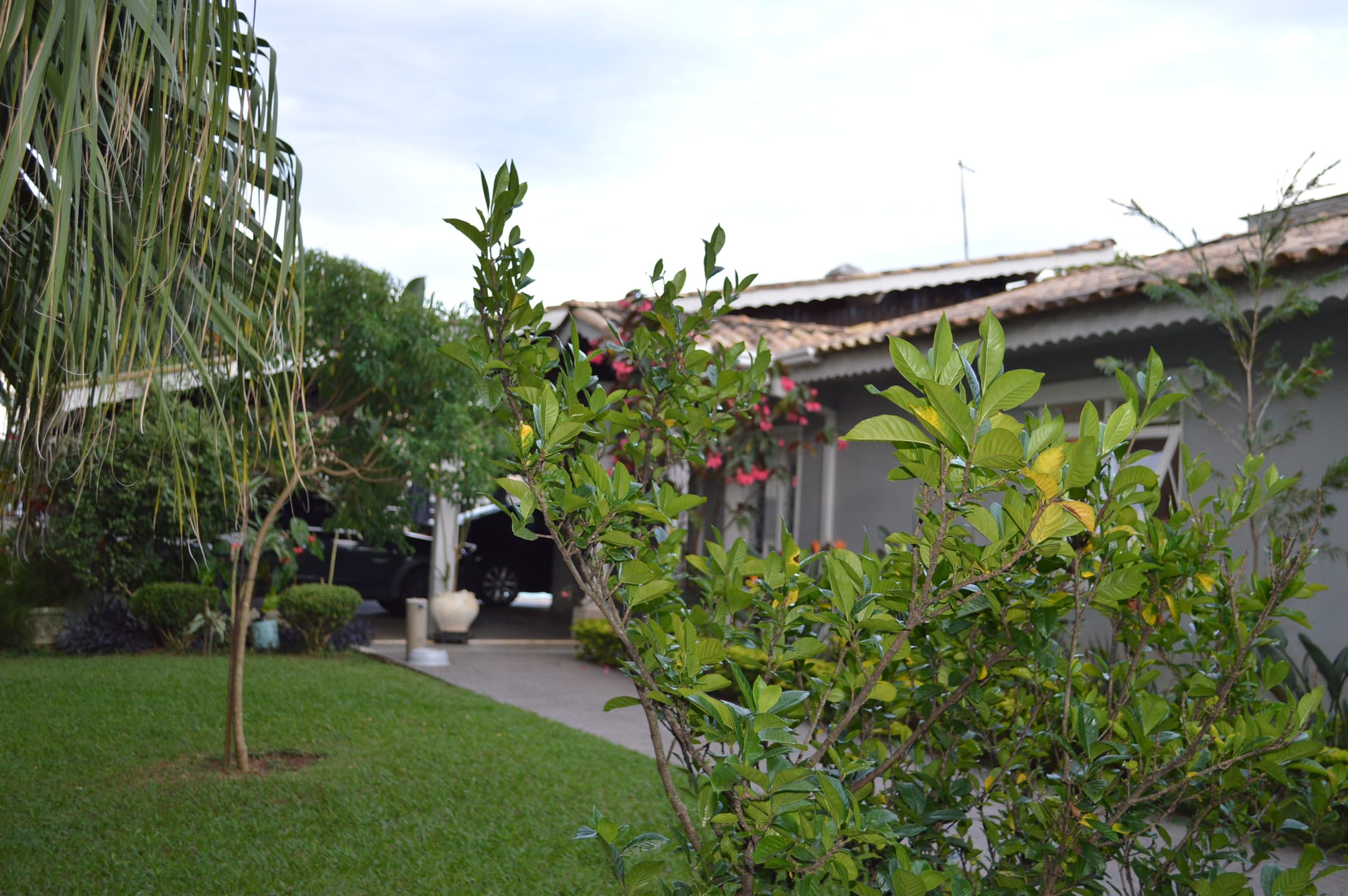 Casa, 4 quartos, 487 m² - Foto 3