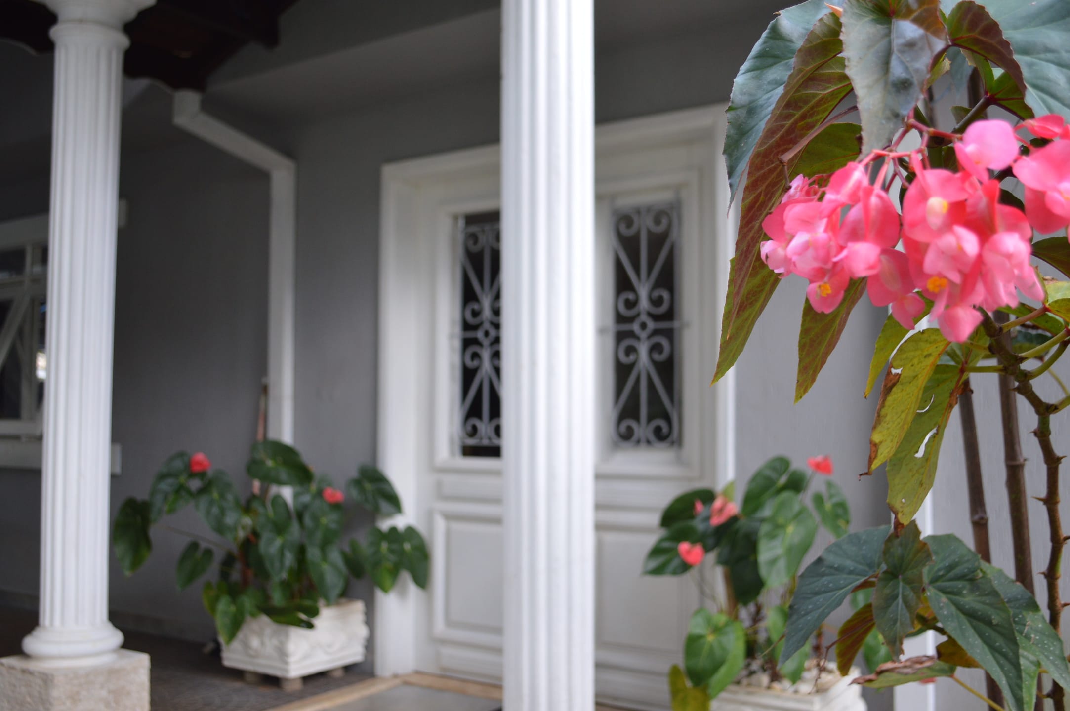 Casa, 4 quartos, 487 m² - Foto 8