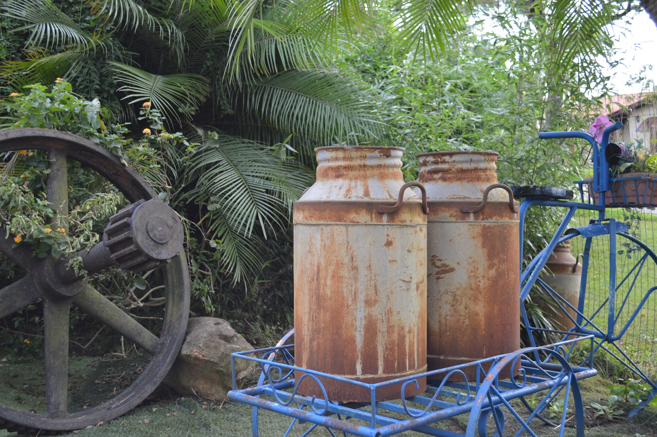 Casa, 4 quartos, 487 m² - Foto 5