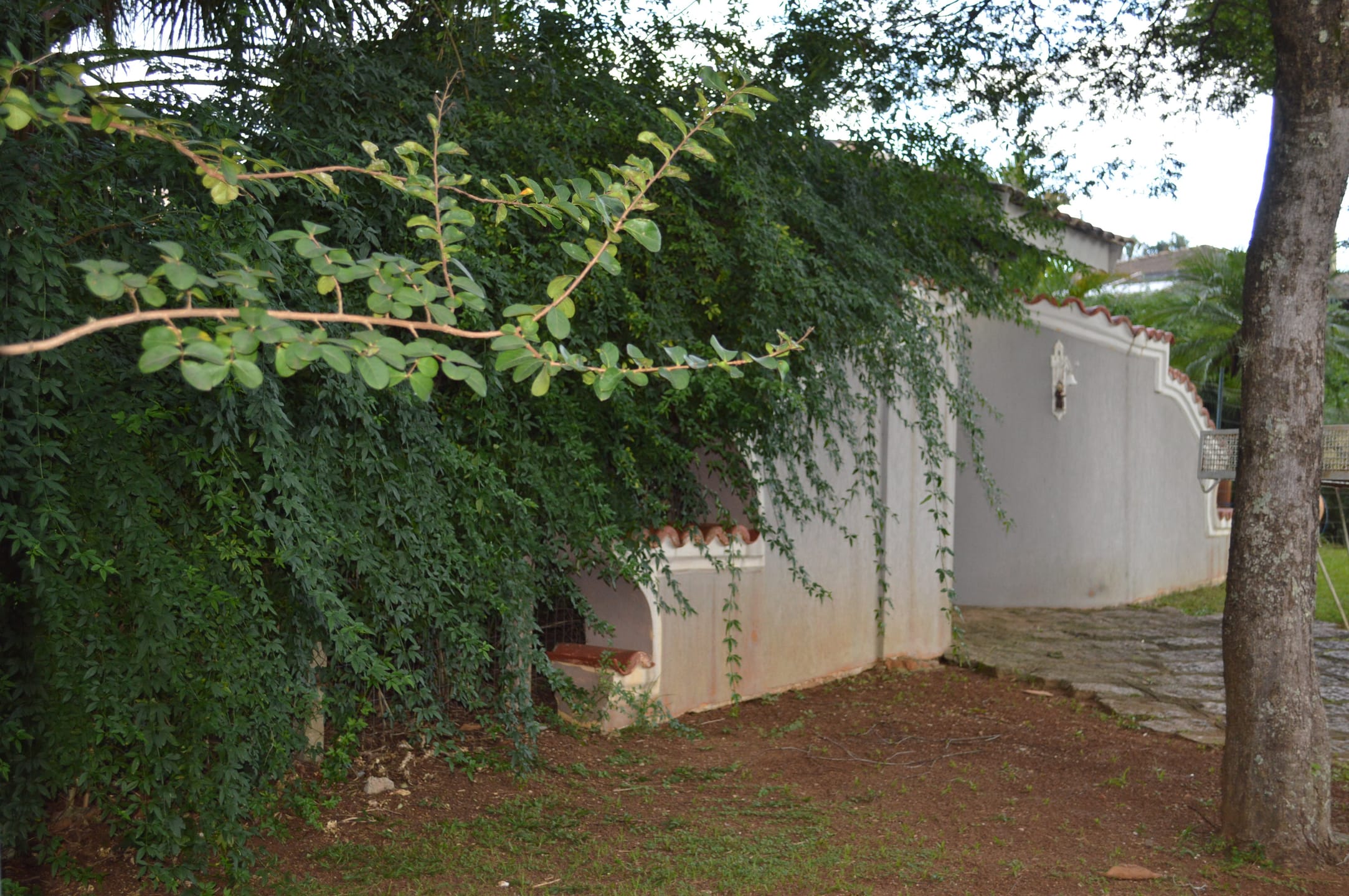 Casa, 4 quartos, 487 m² - Foto 101