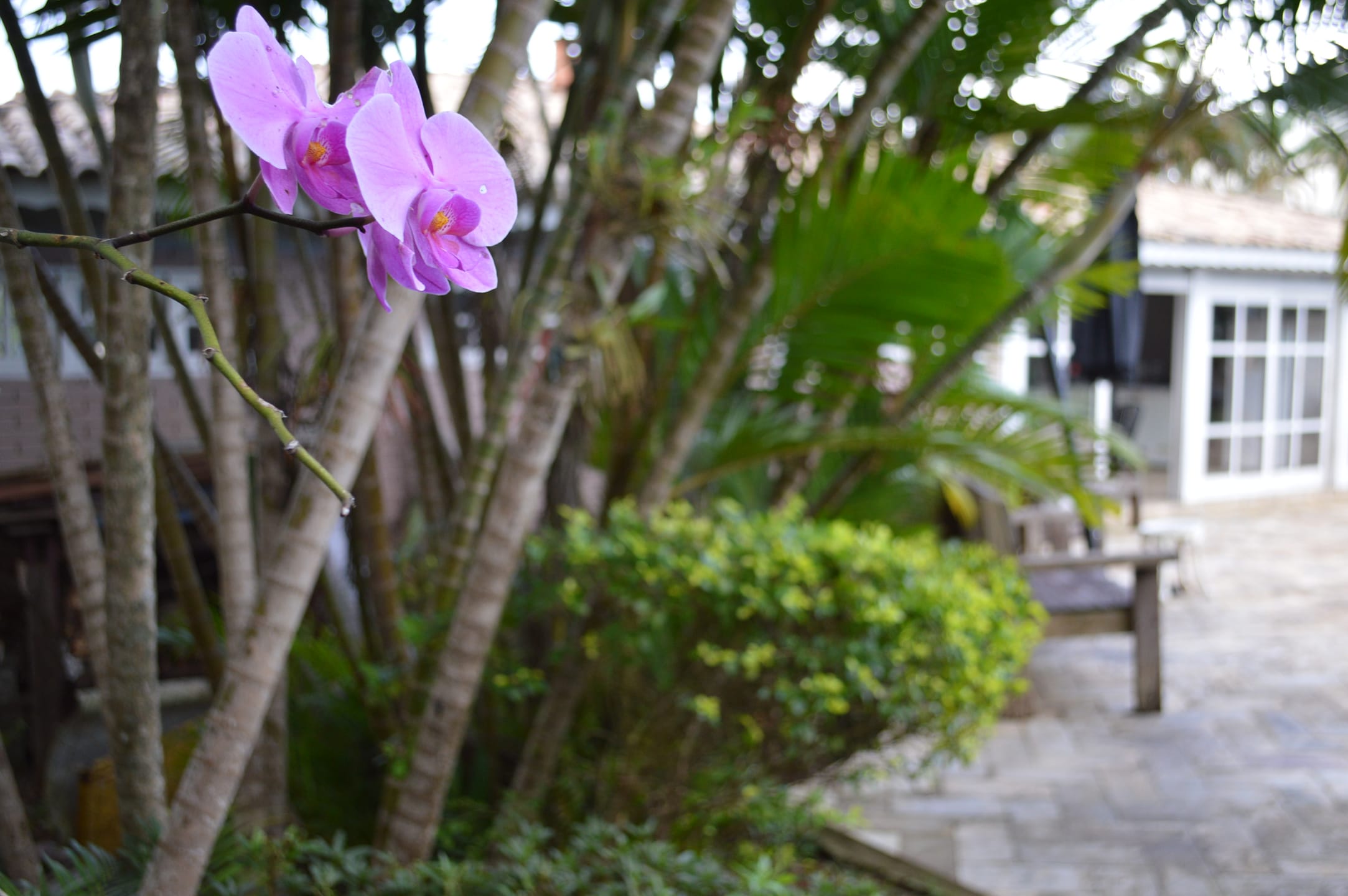 Casa, 4 quartos, 487 m² - Foto 12