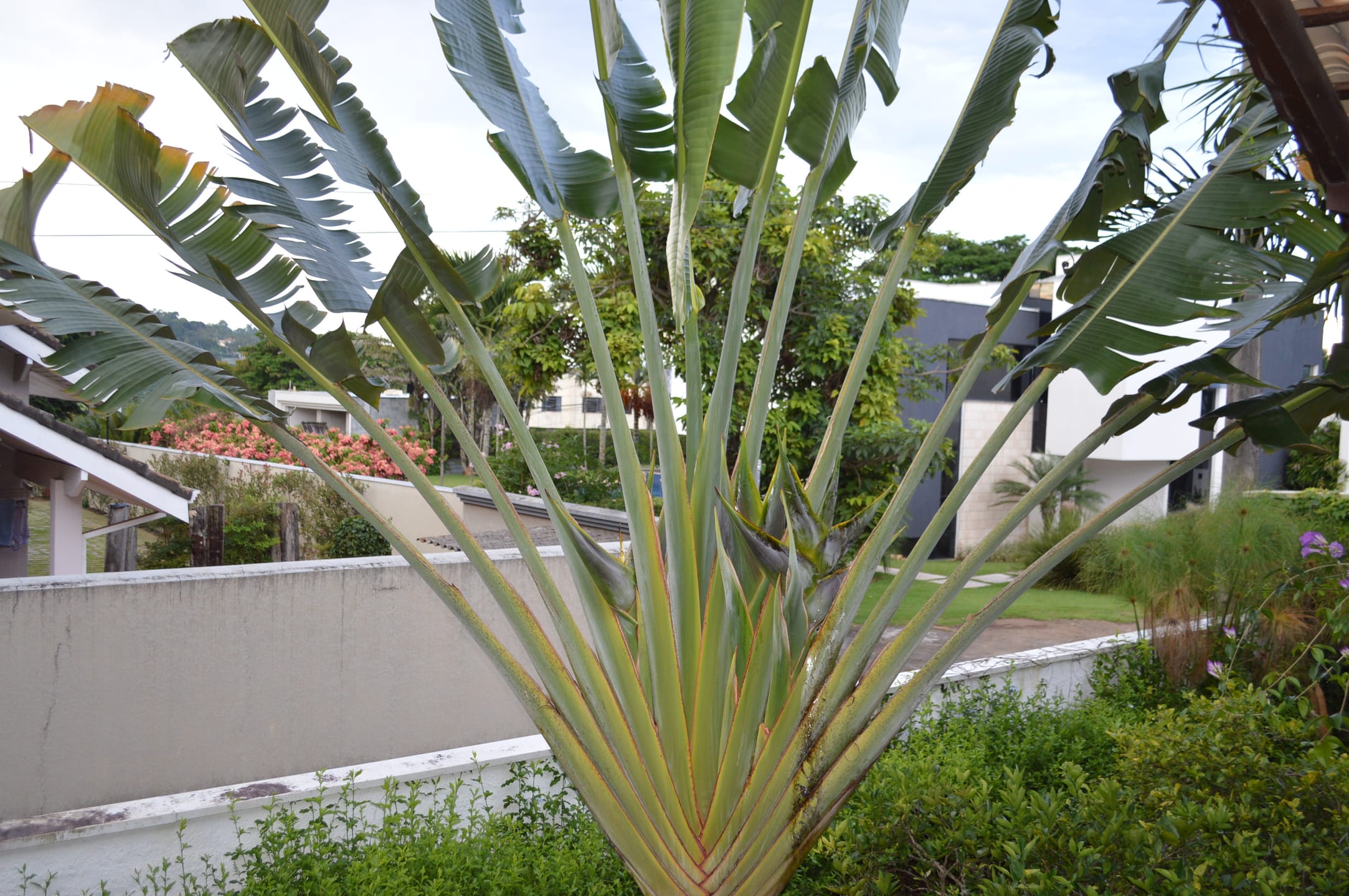 Casa, 4 quartos, 487 m² - Foto 28