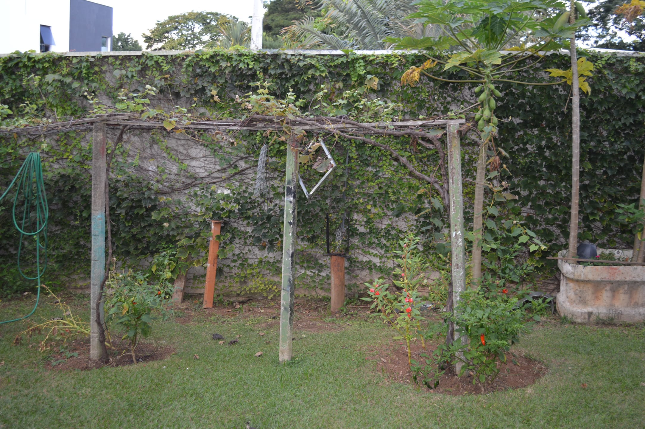 Casa, 4 quartos, 487 m² - Foto 31