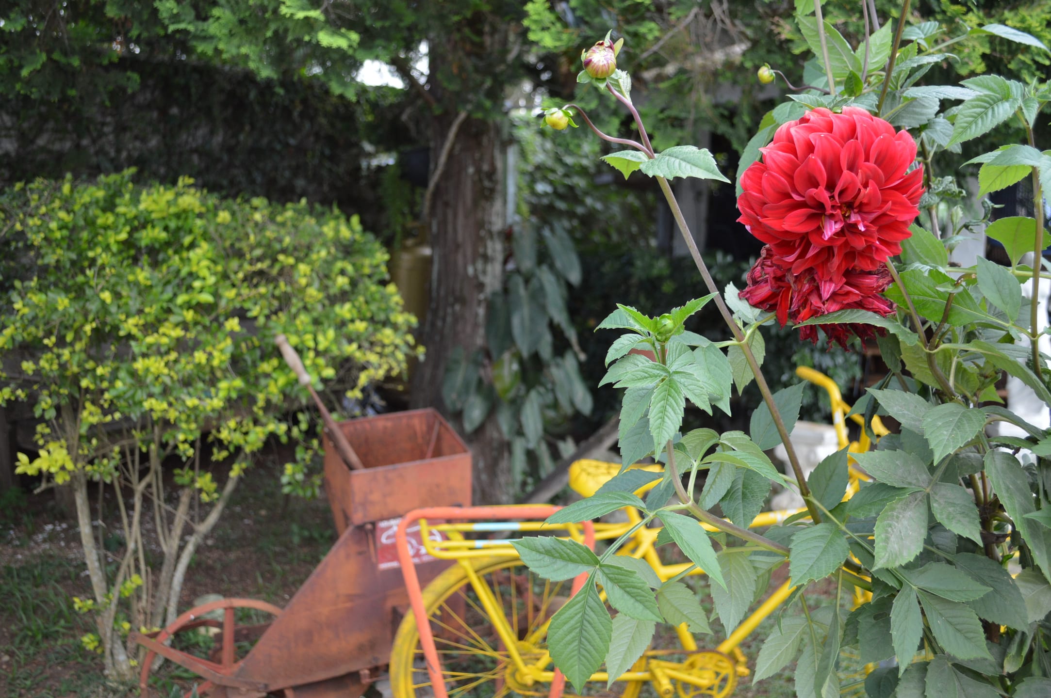 Casa, 4 quartos, 487 m² - Foto 35