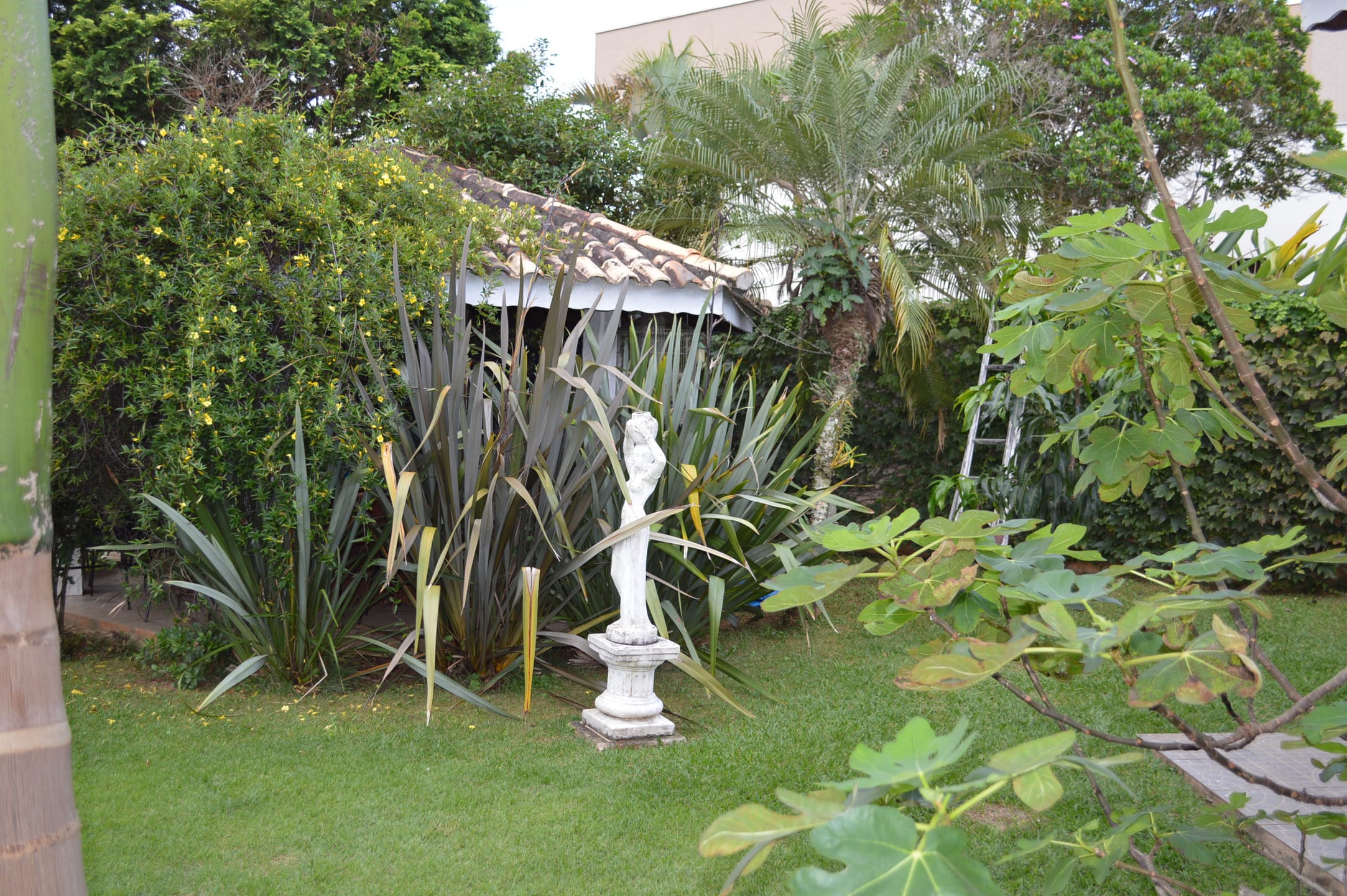 Casa, 4 quartos, 487 m² - Foto 43