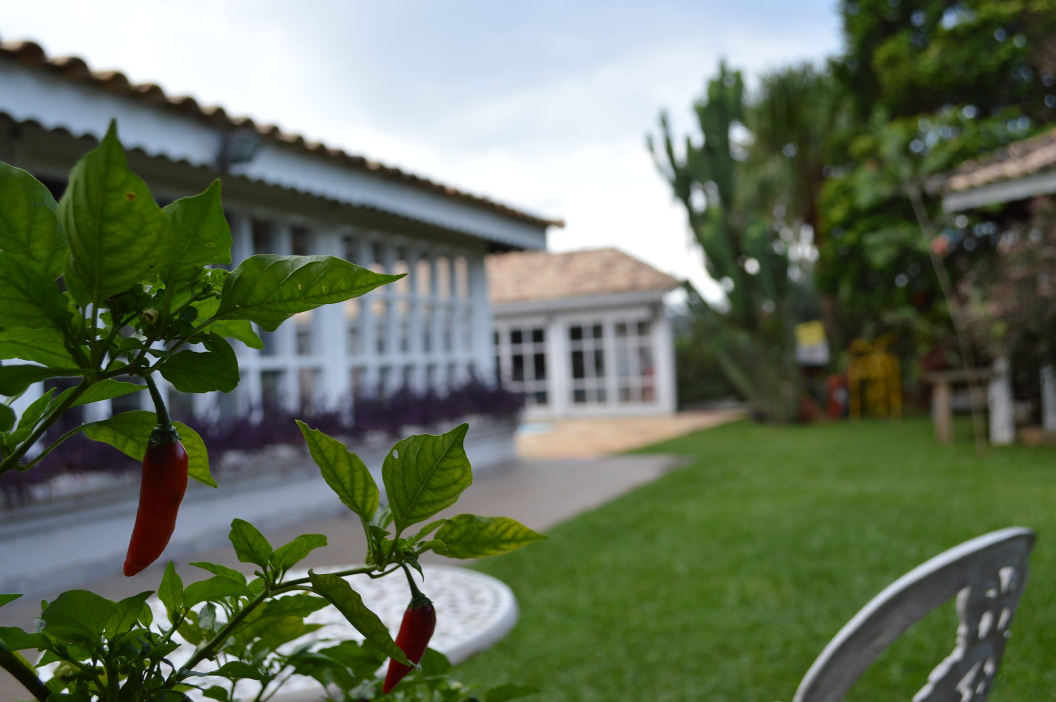 Casa, 4 quartos, 487 m² - Foto 49