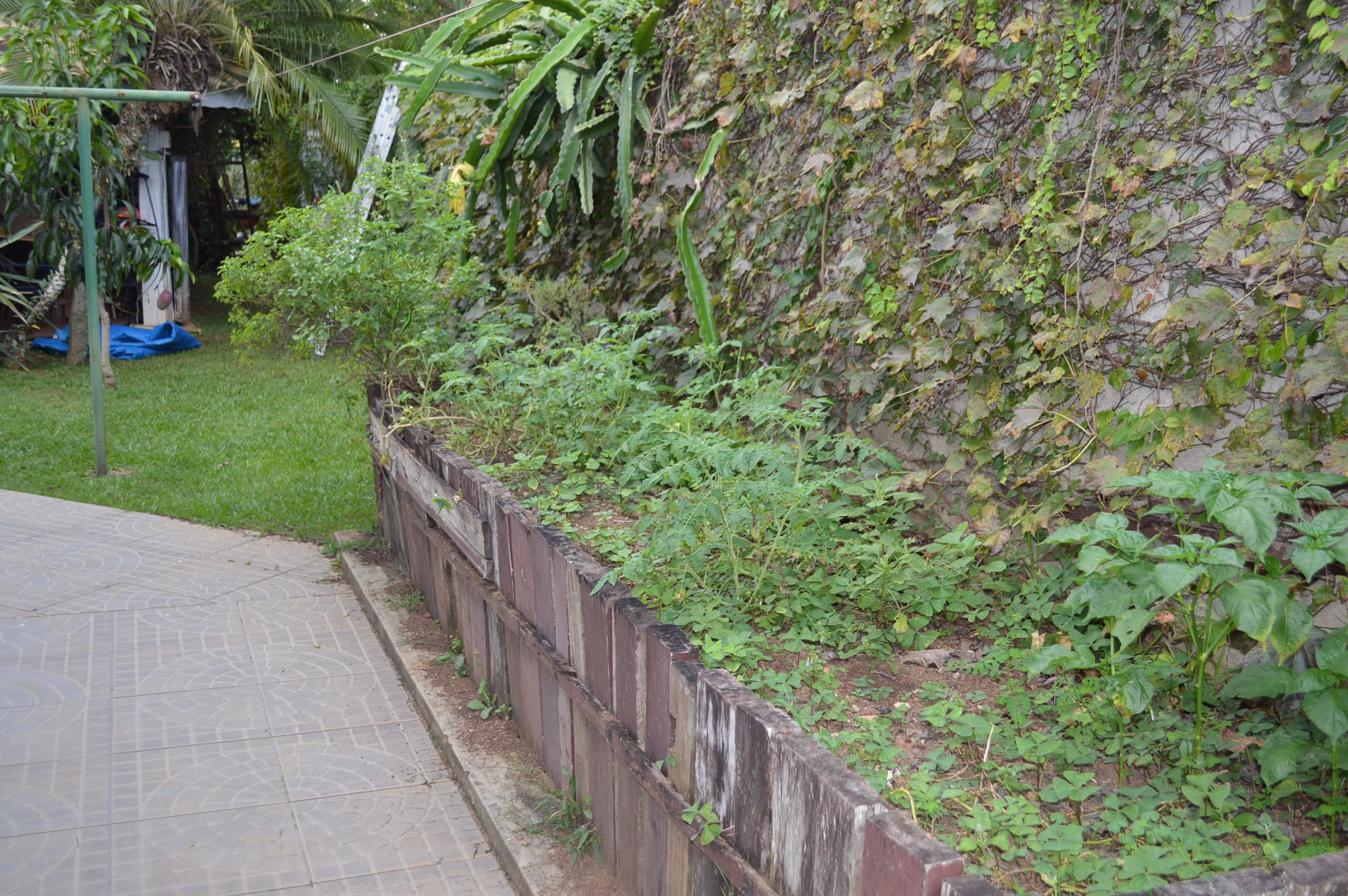 Casa, 4 quartos, 487 m² - Foto 48