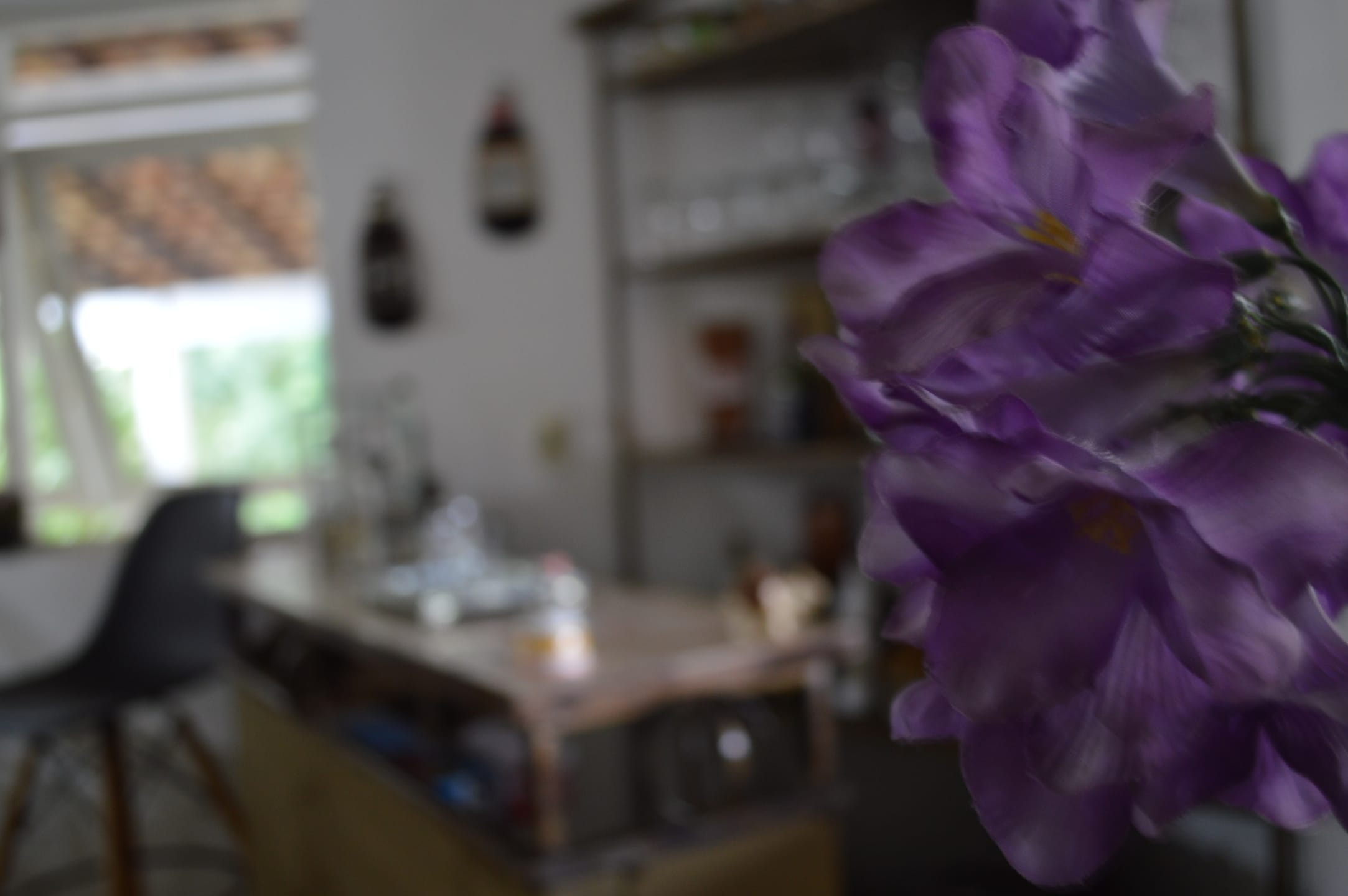 Casa, 4 quartos, 487 m² - Foto 64