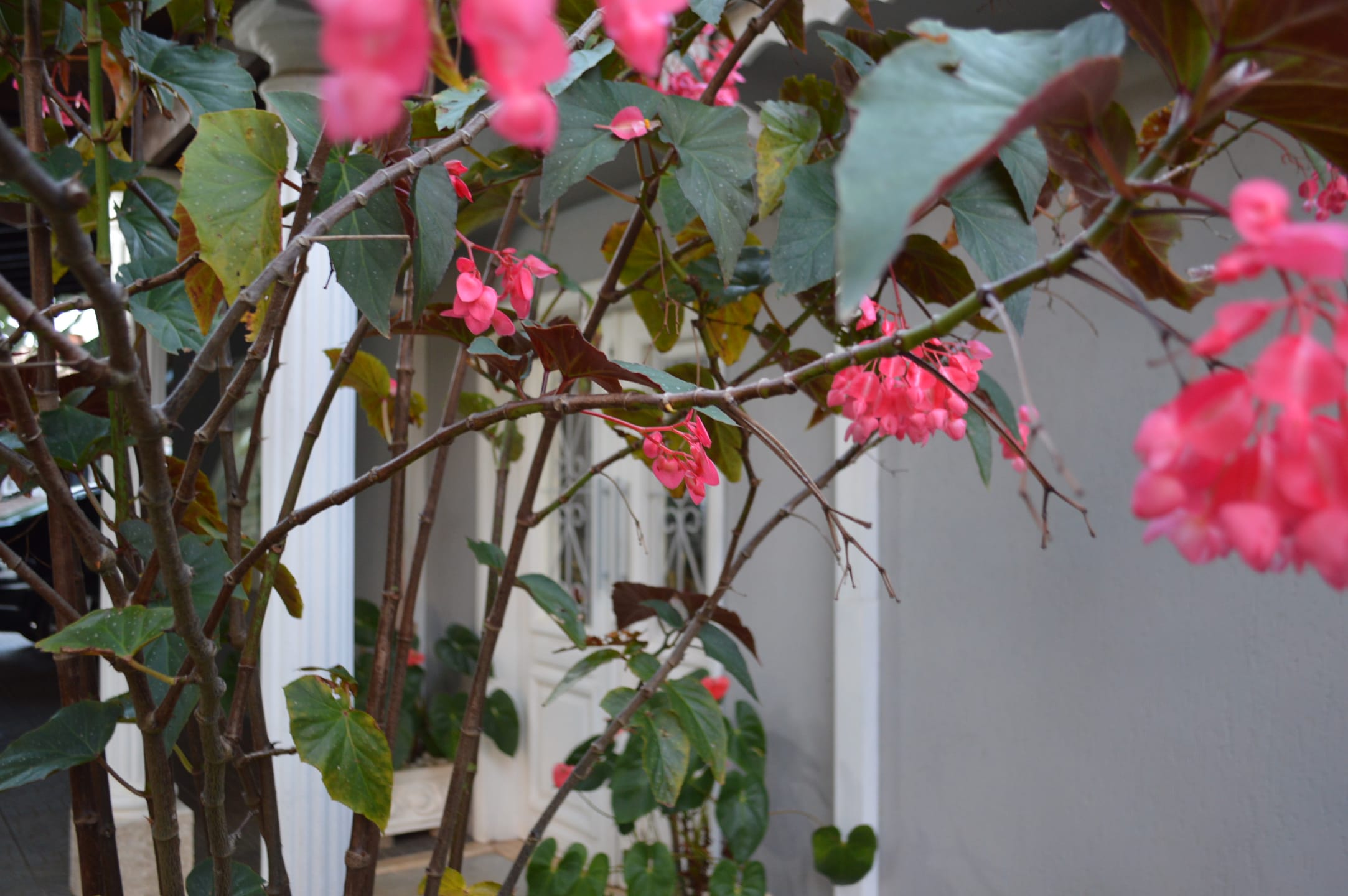 Casa, 4 quartos, 487 m² - Foto 99