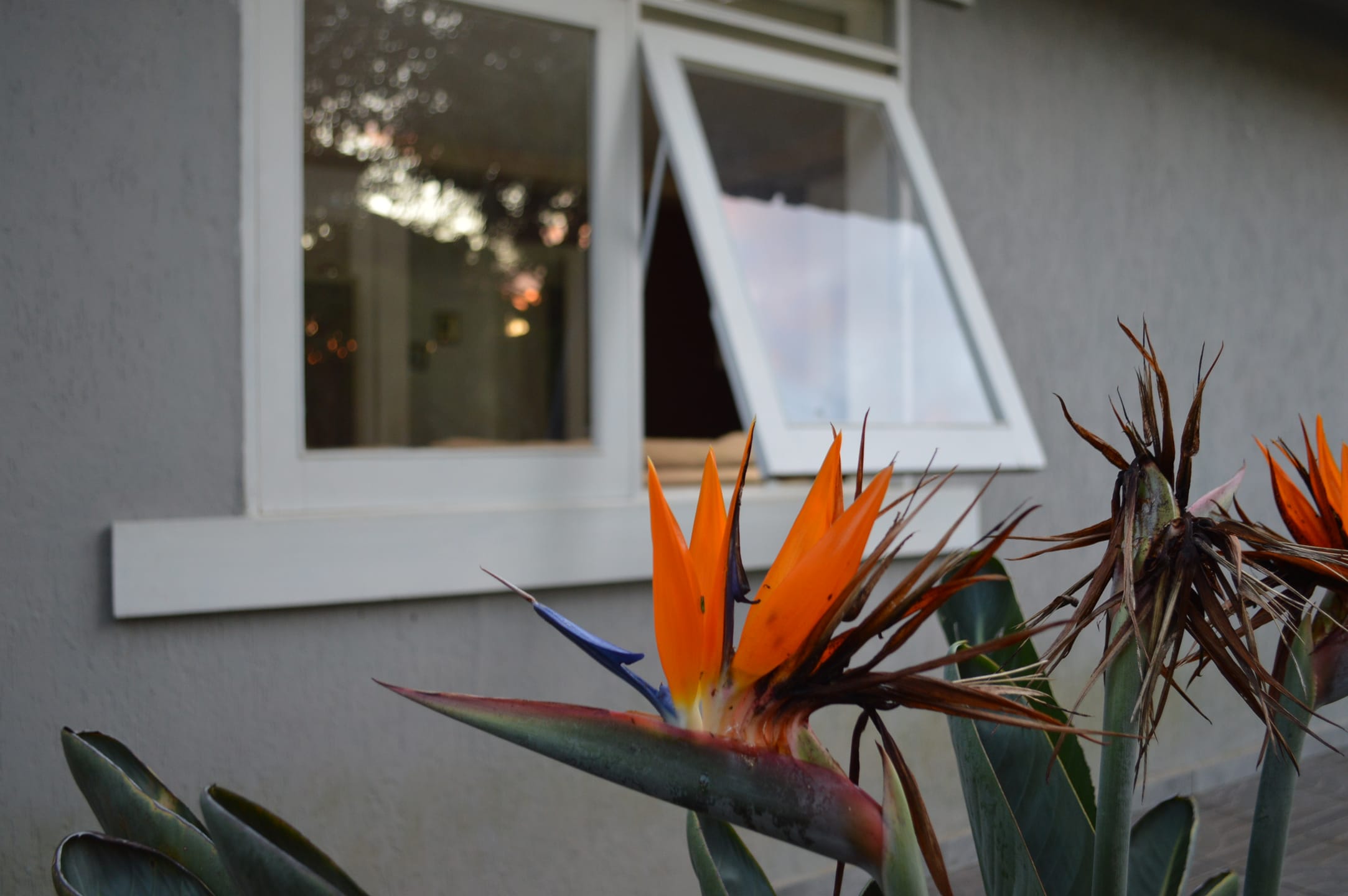 Casa, 4 quartos, 487 m² - Foto 98