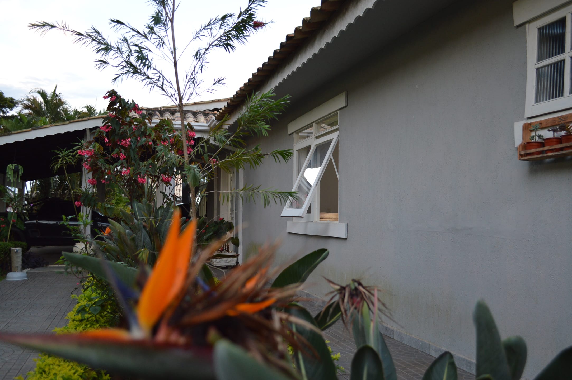 Casa, 4 quartos, 487 m² - Foto 100