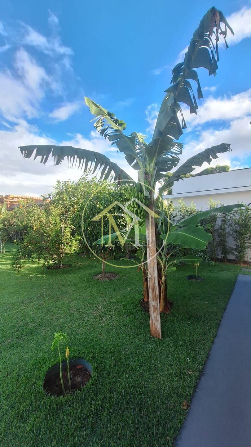 Casa à venda com 3 quartos, 1000m² - Foto 20