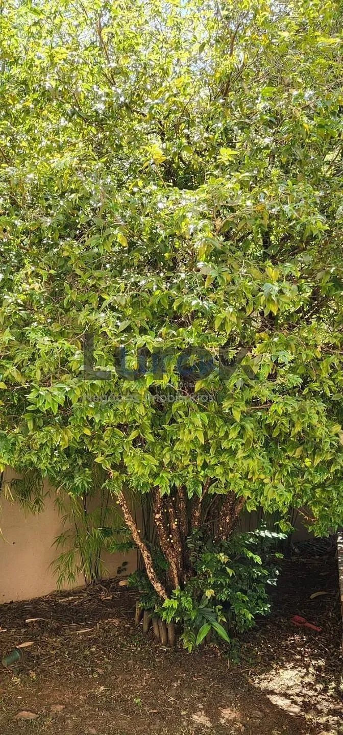 Casa, 3 quartos, 367 m² - Foto 36