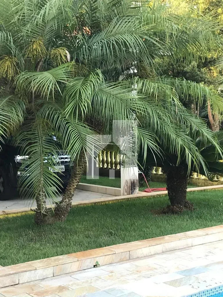 Foto 8
