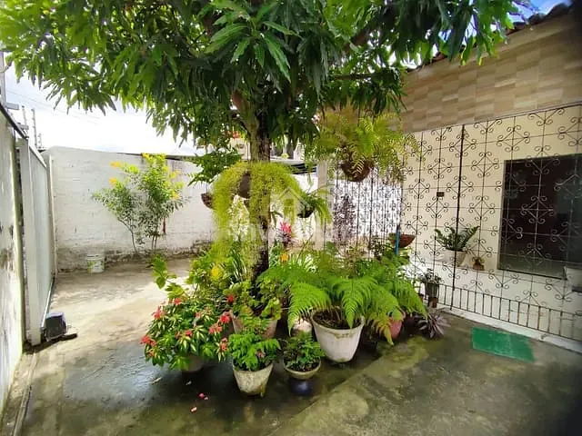 Casa com 312m² 3 quartos e 1 banheiro, à venda, no bairro Jardim Paulistano em Campina Grande