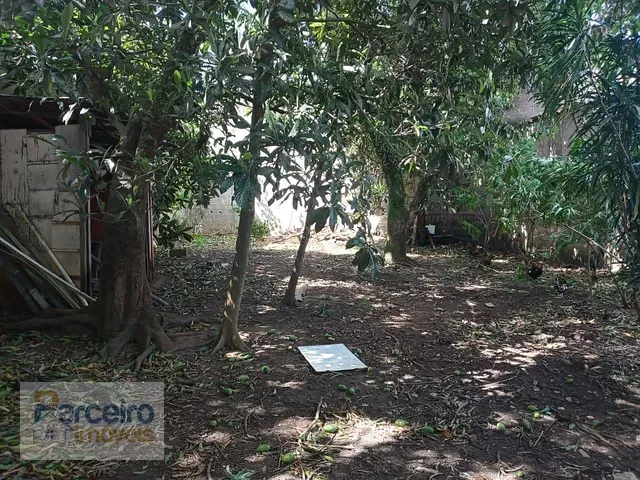 Casa 2 quartos e 1 banheiro, à venda, no bairro Vila Curuçá em São Paulo