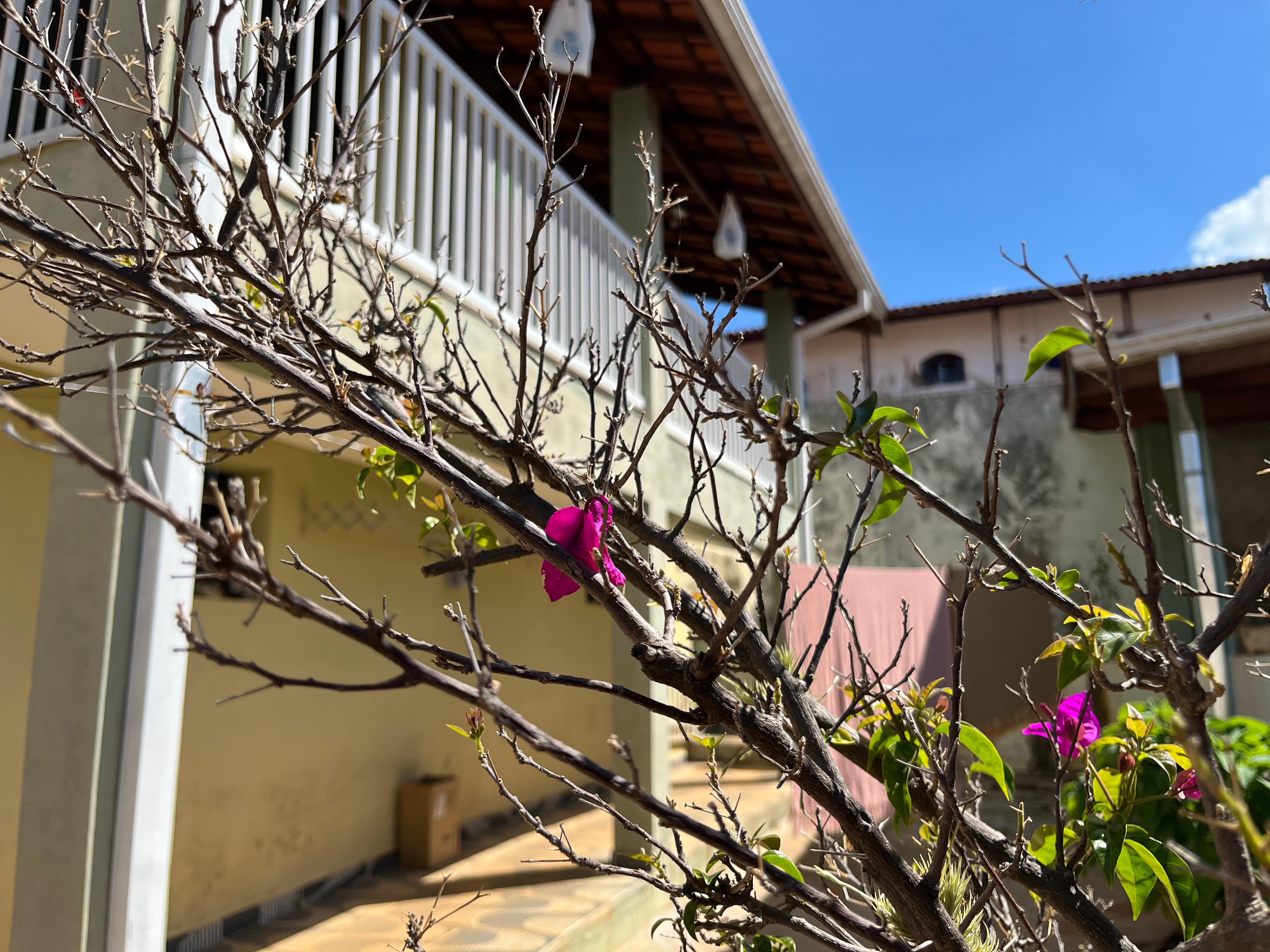 Casa, 3 quartos, 215 m² - Foto 47