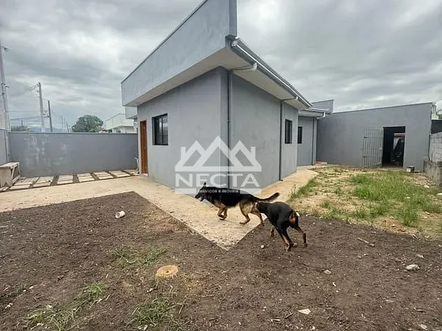 Casa com 200m² 2 quartos e 1 banheiro, à venda, no bairro Morro do Algodão em Caraguatatuba