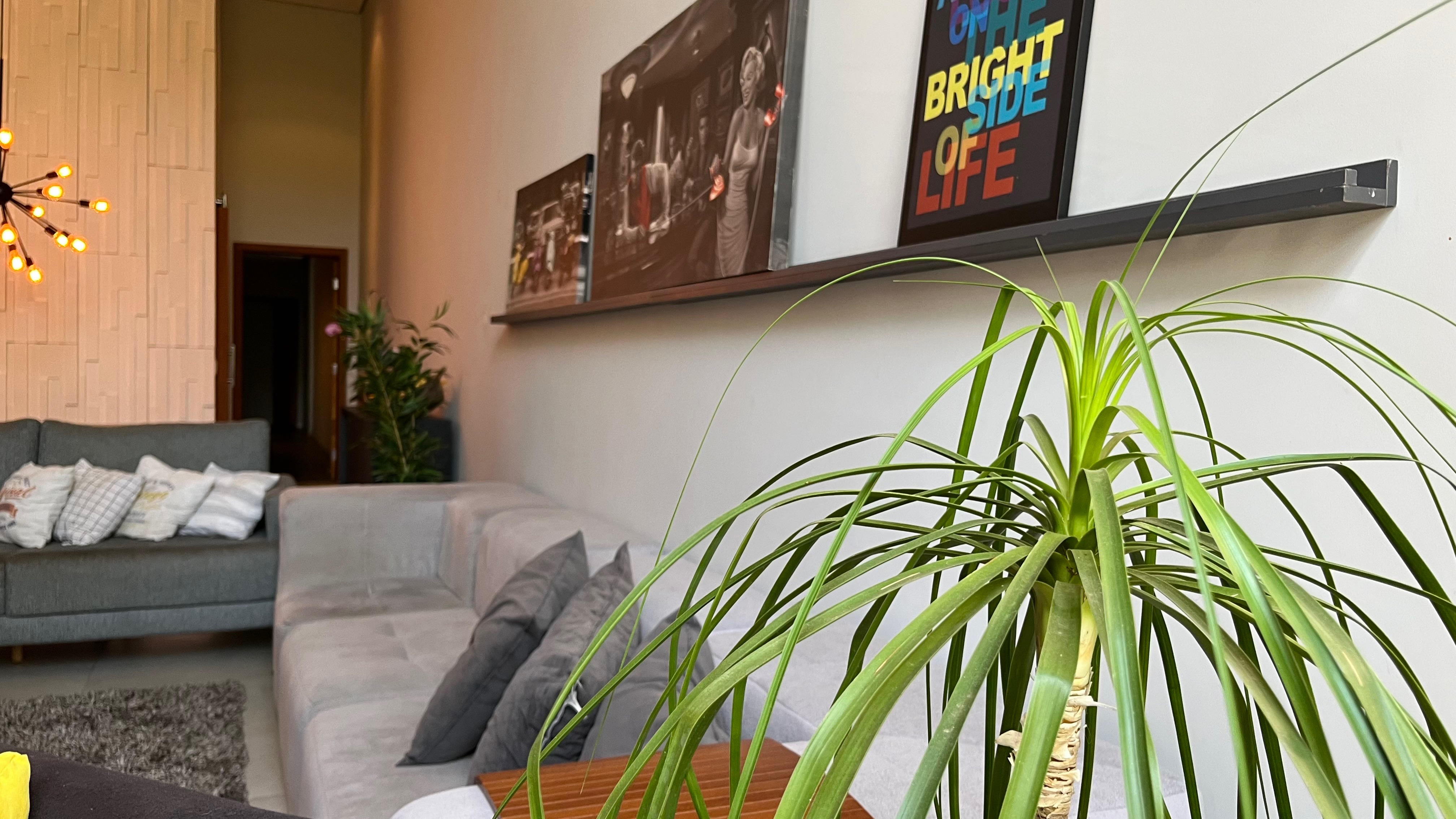 Casa, 3 quartos, 182 m² - Foto 33