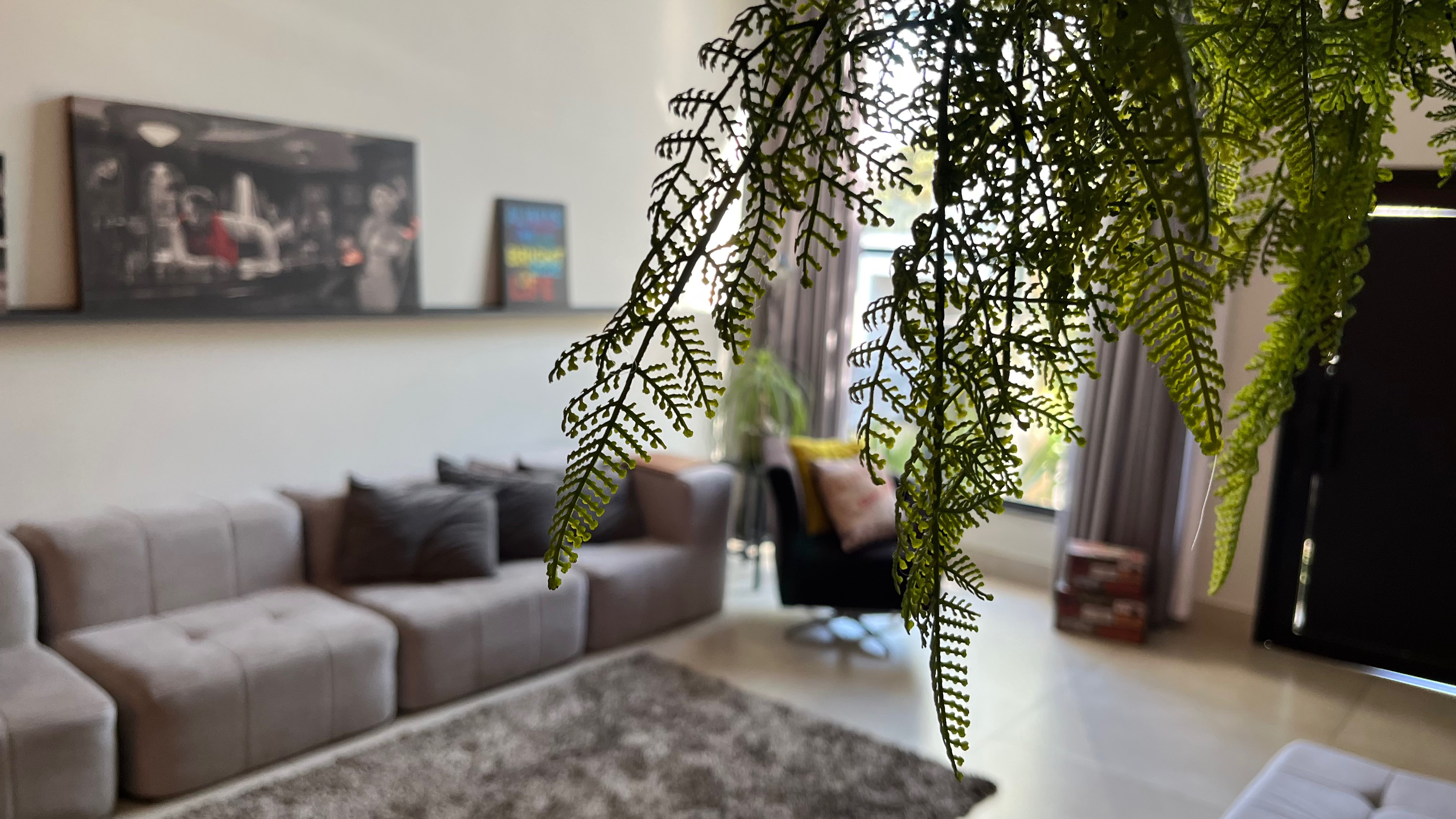 Casa, 3 quartos, 182 m² - Foto 35