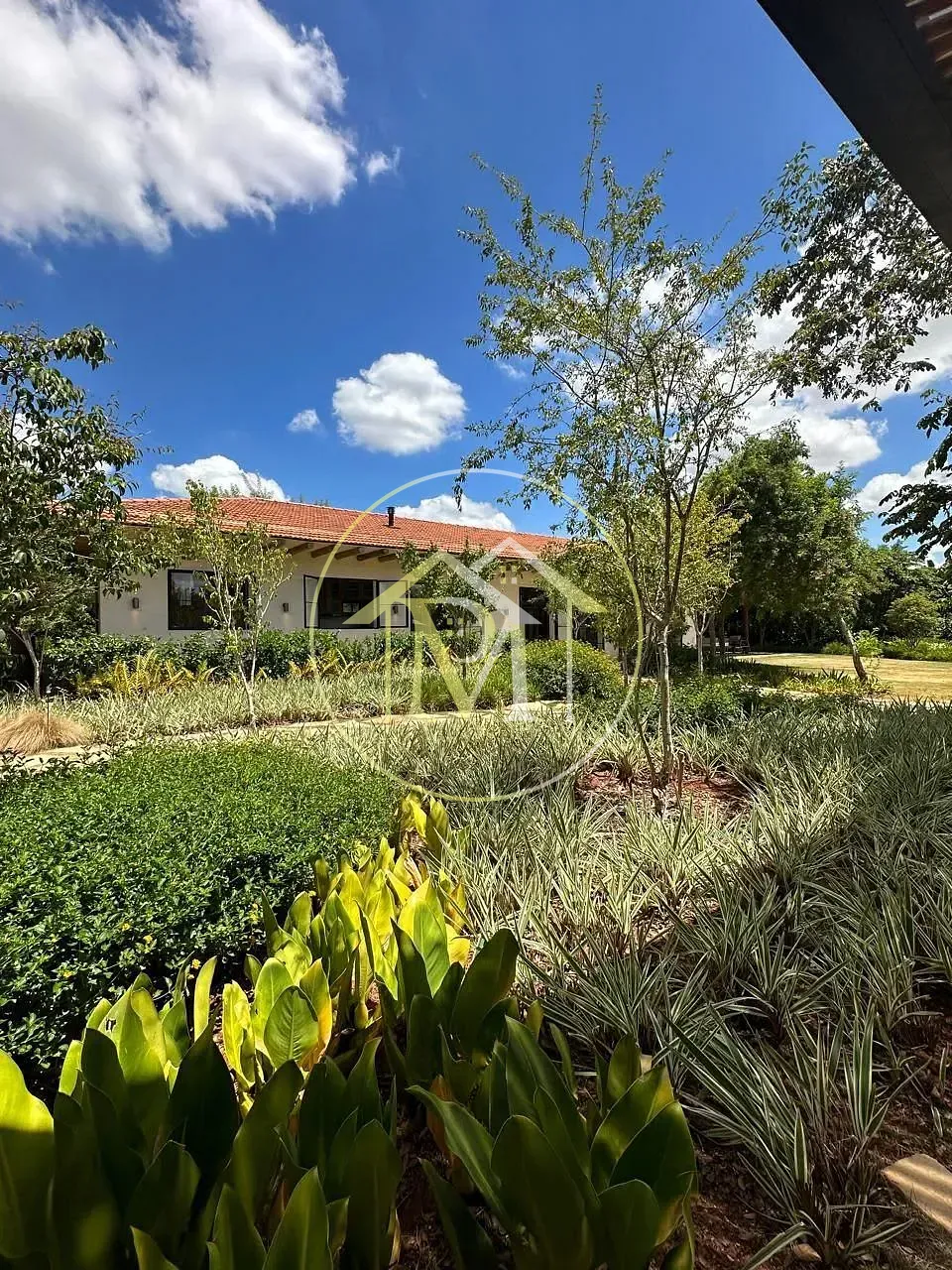 Casa, 5 quartos, 900 m² - Foto 25