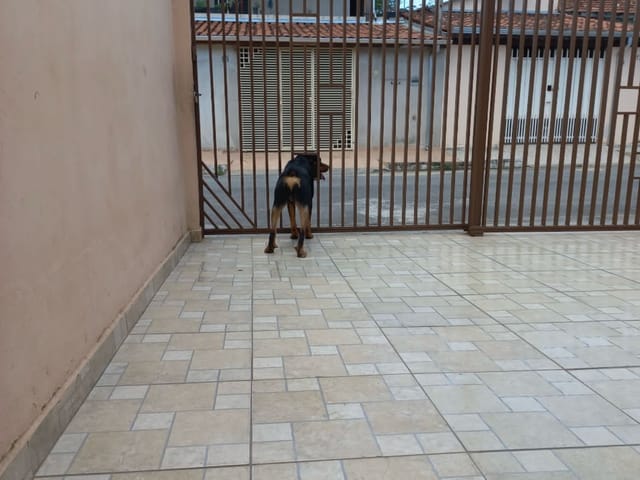 Casa com 125m² 2 quartos e 1 banheiro, à venda, no bairro Residencial Maricá em Pindamonhangaba