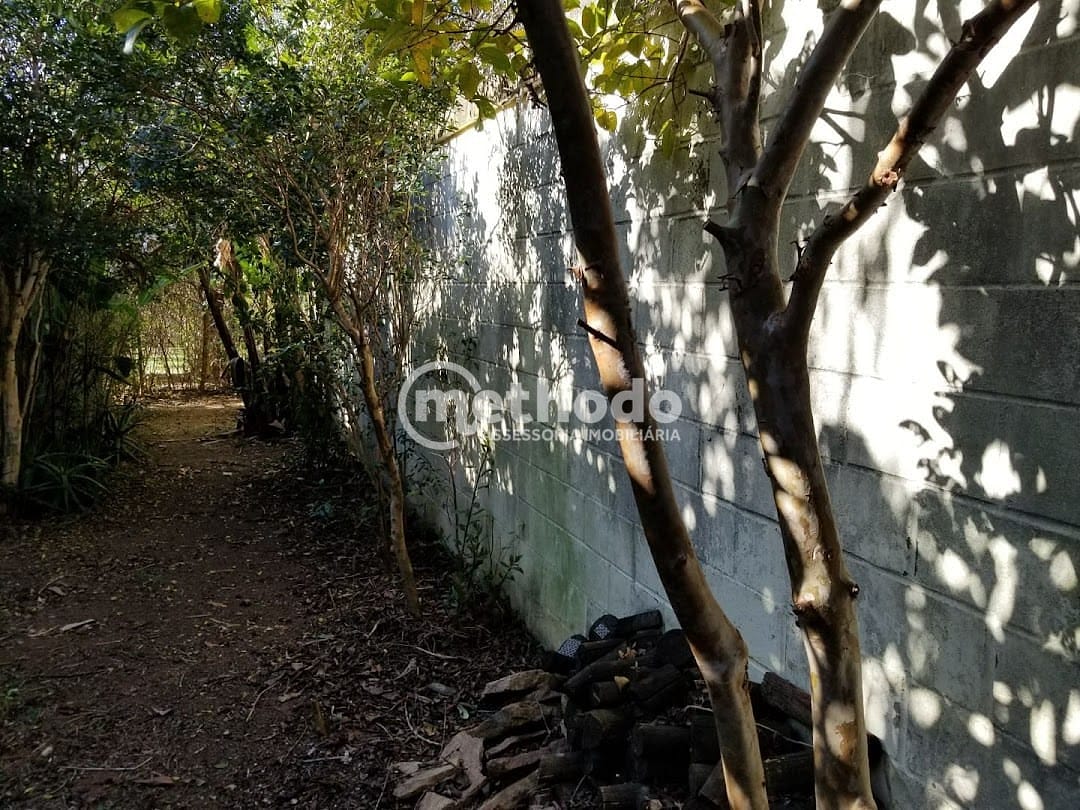 Casa, 5 quartos, 294 m² - Foto 10