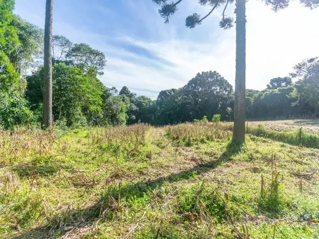 Casa à venda, no bairro BUGRE em Balsa Nova