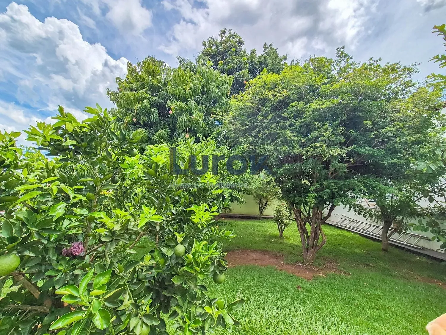 Casa, 4 quartos, 353 m² - Foto 16