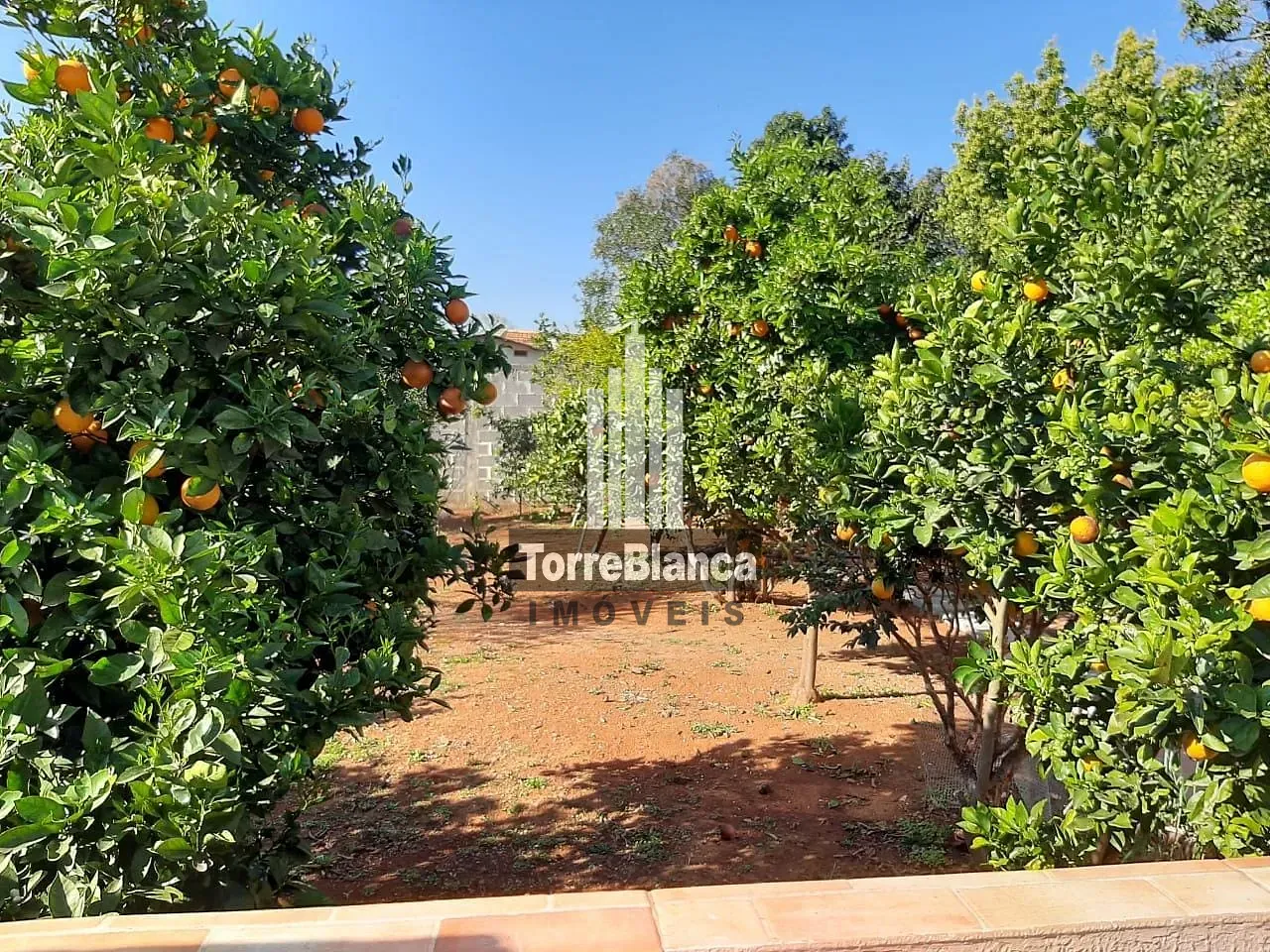 Casa, 4 quartos, 250 m² - Foto 19