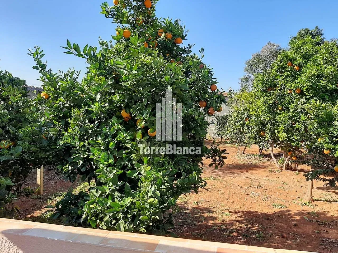 Casa, 4 quartos, 250 m² - Foto 27