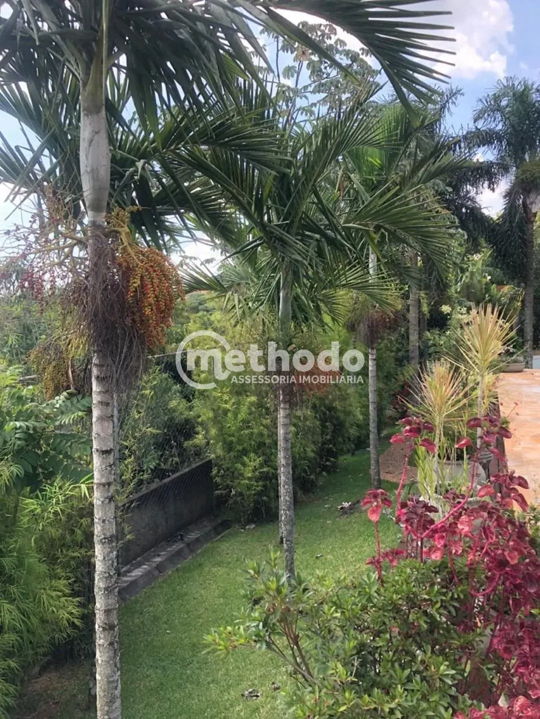 Casa, 4 quartos, 700 m² - Foto 20