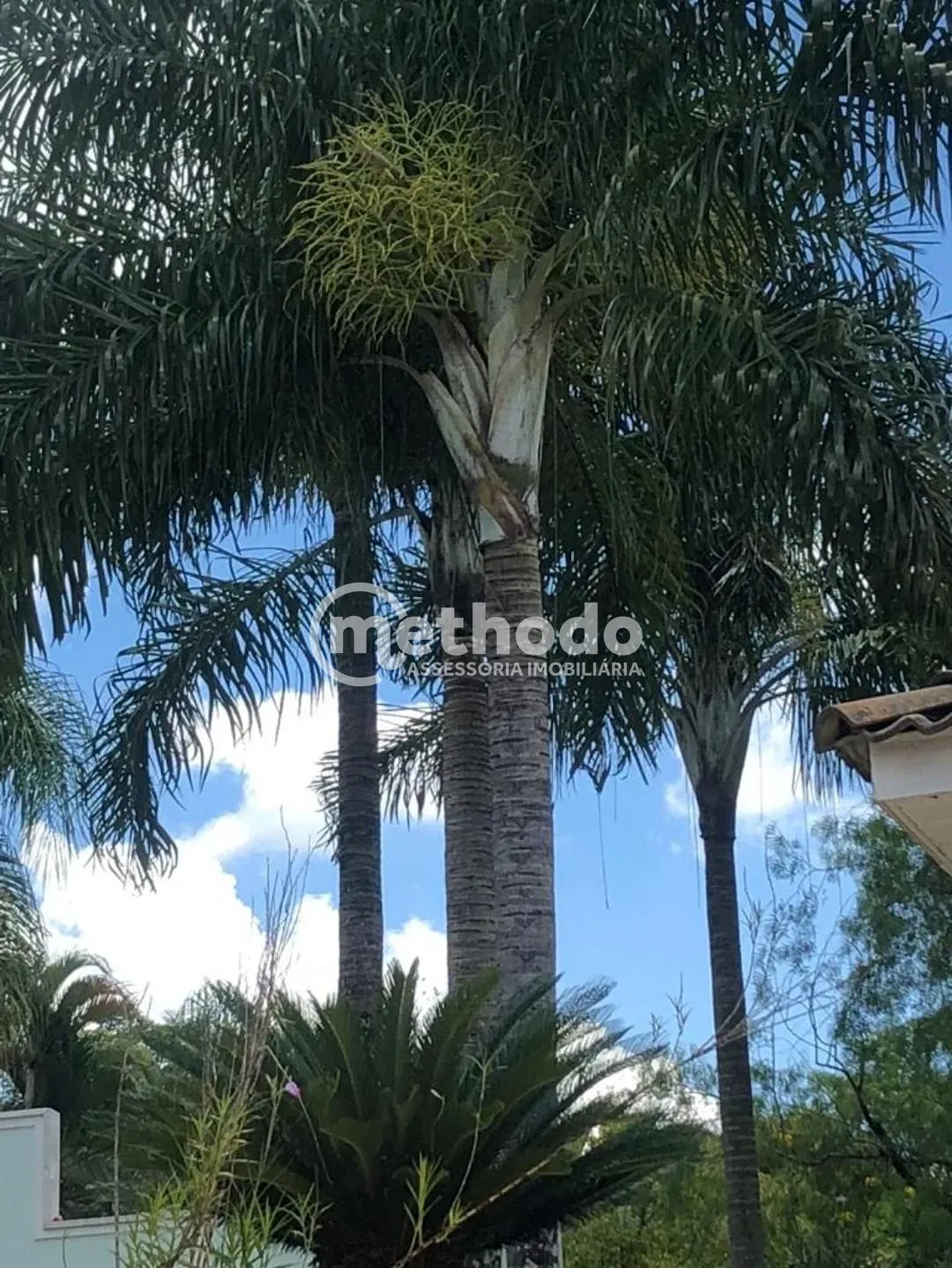 Casa, 4 quartos, 700 m² - Foto 15