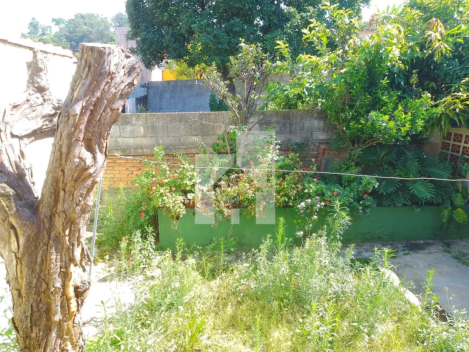 Foto 15