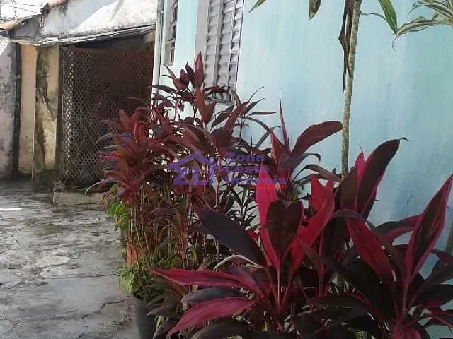 Casa com 450m² 1 quarto e 1 banheiro, à venda, no bairro Vila Carrão em São Paulo