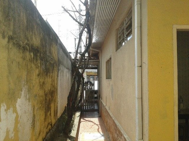 Foto do Casa - Casa à venda 3 Quartos, 3 Vagas, 264M², Jardim São Dimas, São José dos Campos - SP | INDEPENDENCE NEGOCIOS IMOBILIARIOS LTDA