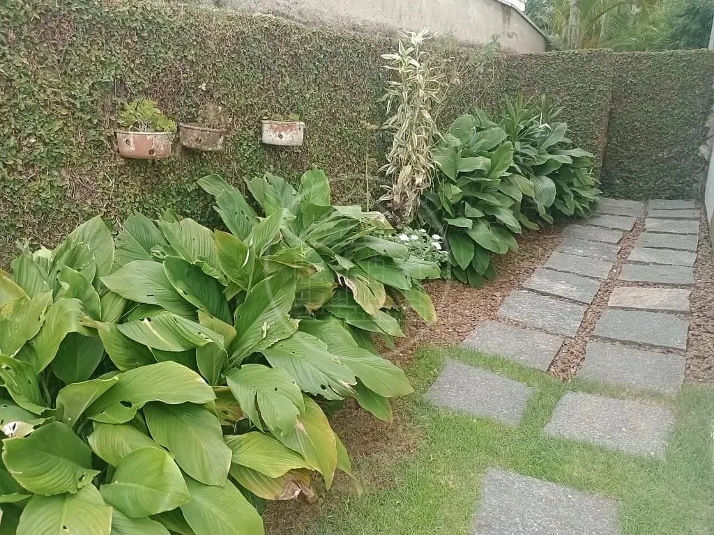 Casa, 5 quartos, 340 m² - Foto 15