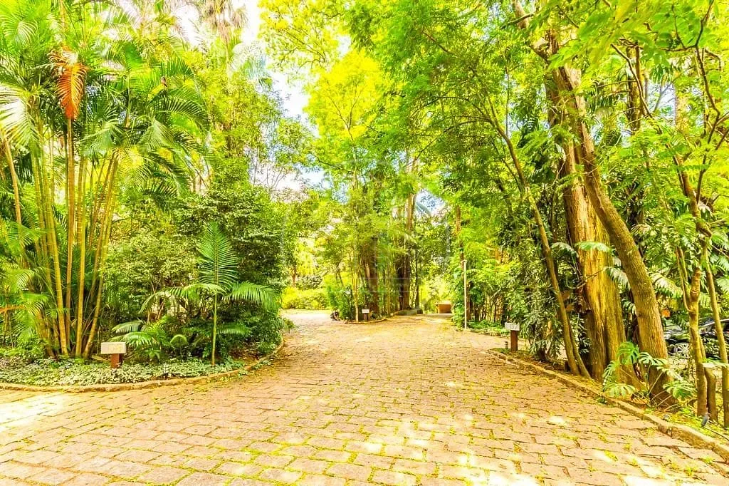 Casa, 5 quartos, 650 m² - Foto 43