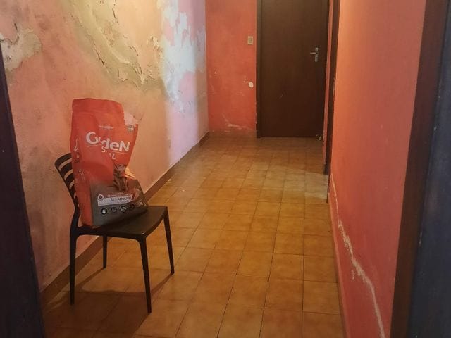 Casa com 240m² 3 quartos e 2 banheiros, à venda, no bairro Vila Moinho Velho em São Paulo