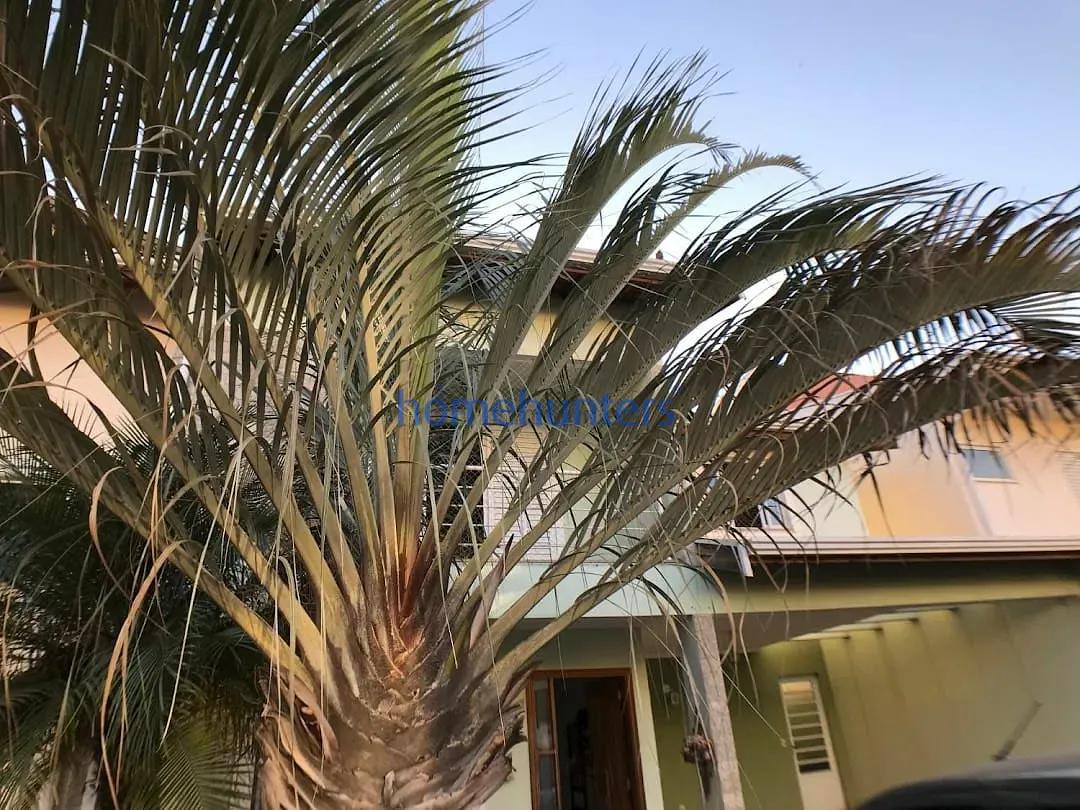 Casa, 4 quartos, 200 m² - Foto 28
