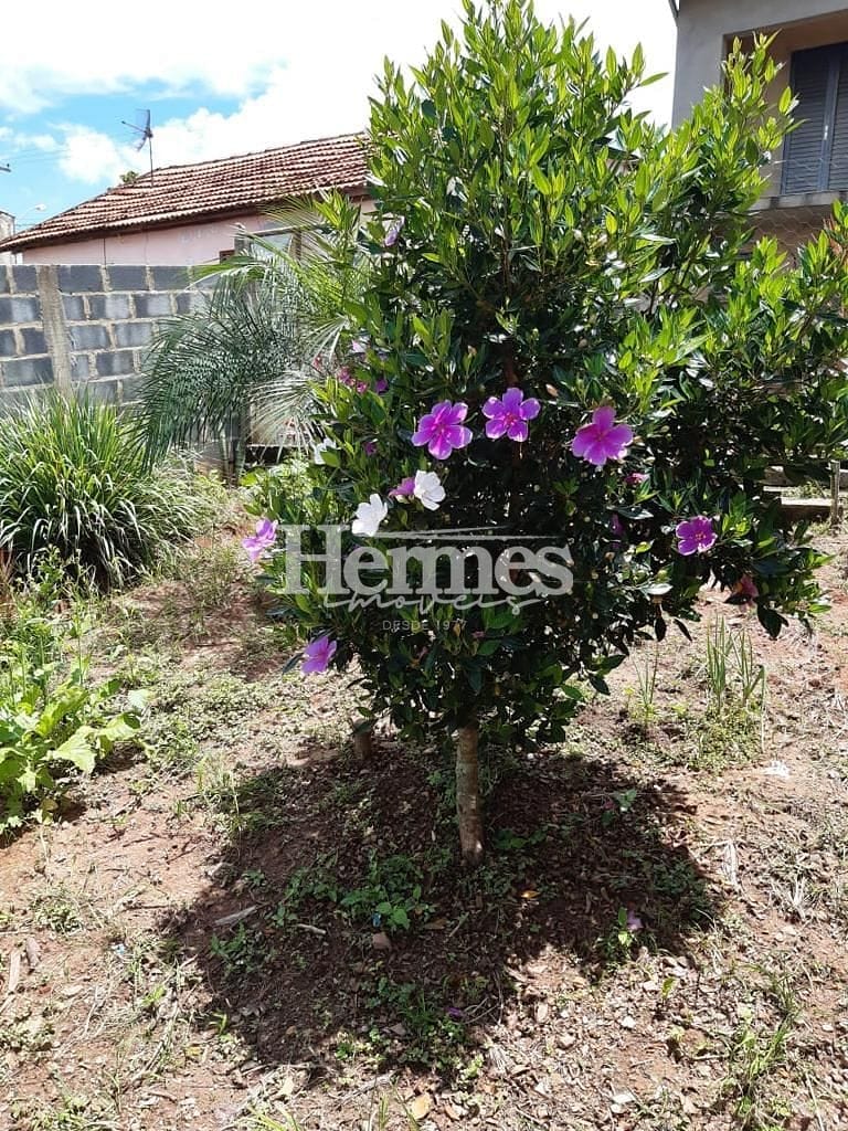 Casa, 3 quartos, 192 m² - Foto 33