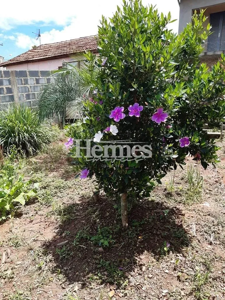 Casa, 3 quartos, 192 m² - Foto 33