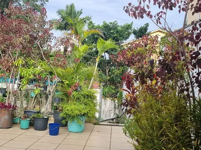 Casa com 256m² 2 quartos e 1 banheiro, à venda, no bairro Jardim Los Angeles em São Paulo
