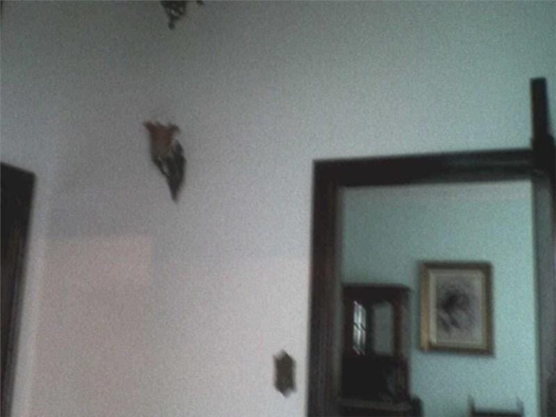 Casa, 4 quartos, 180 m² - Foto 9