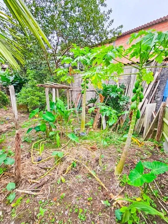Casa, 4 quartos, 310 m² - Foto 24