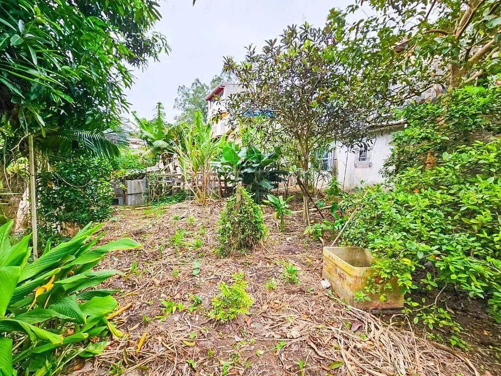 Casa, 4 quartos, 310 m² - Foto 19